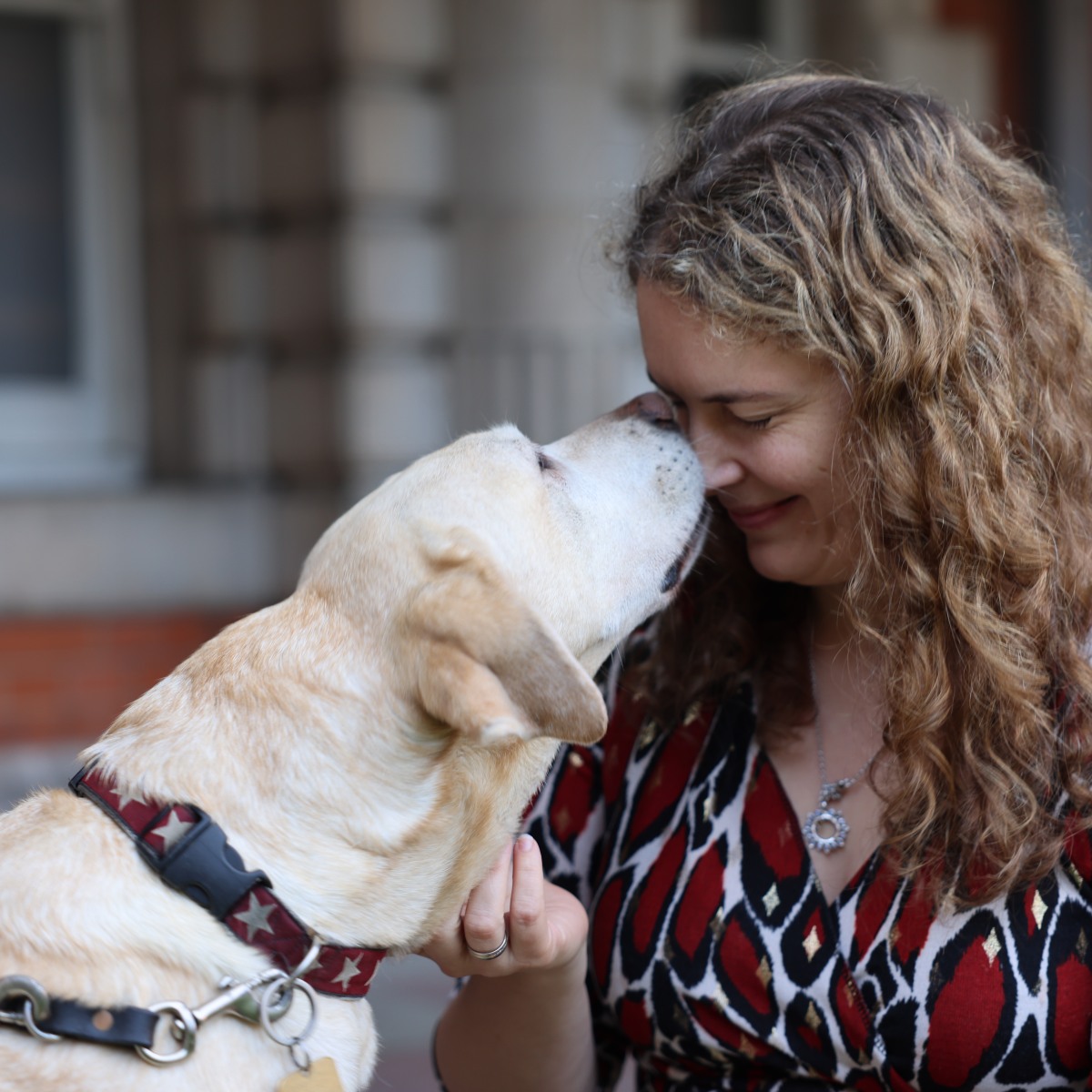 A letter to my retiring guide dog Lassie